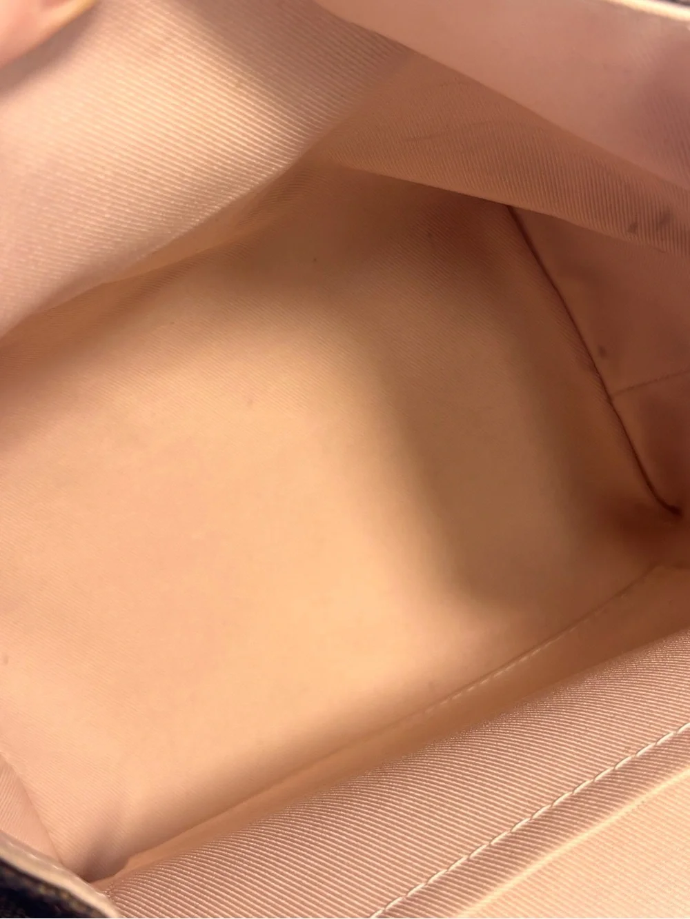 Louis Vuitton Clapton Ebene Rose
